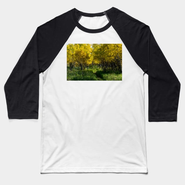 Fall in Canada's foothills Baseball T-Shirt by CanadianWild418